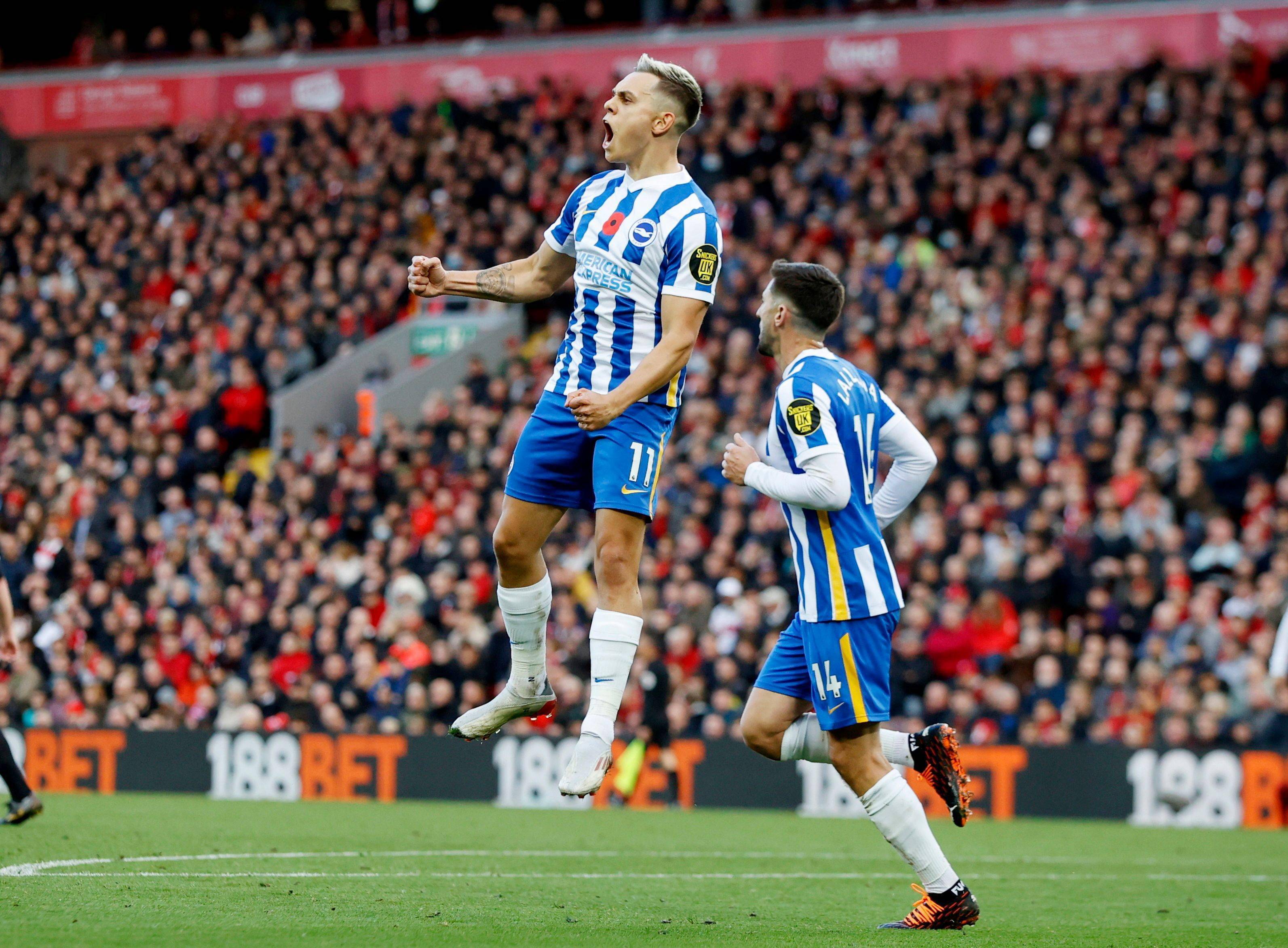 欧文为代表 欧文为代表