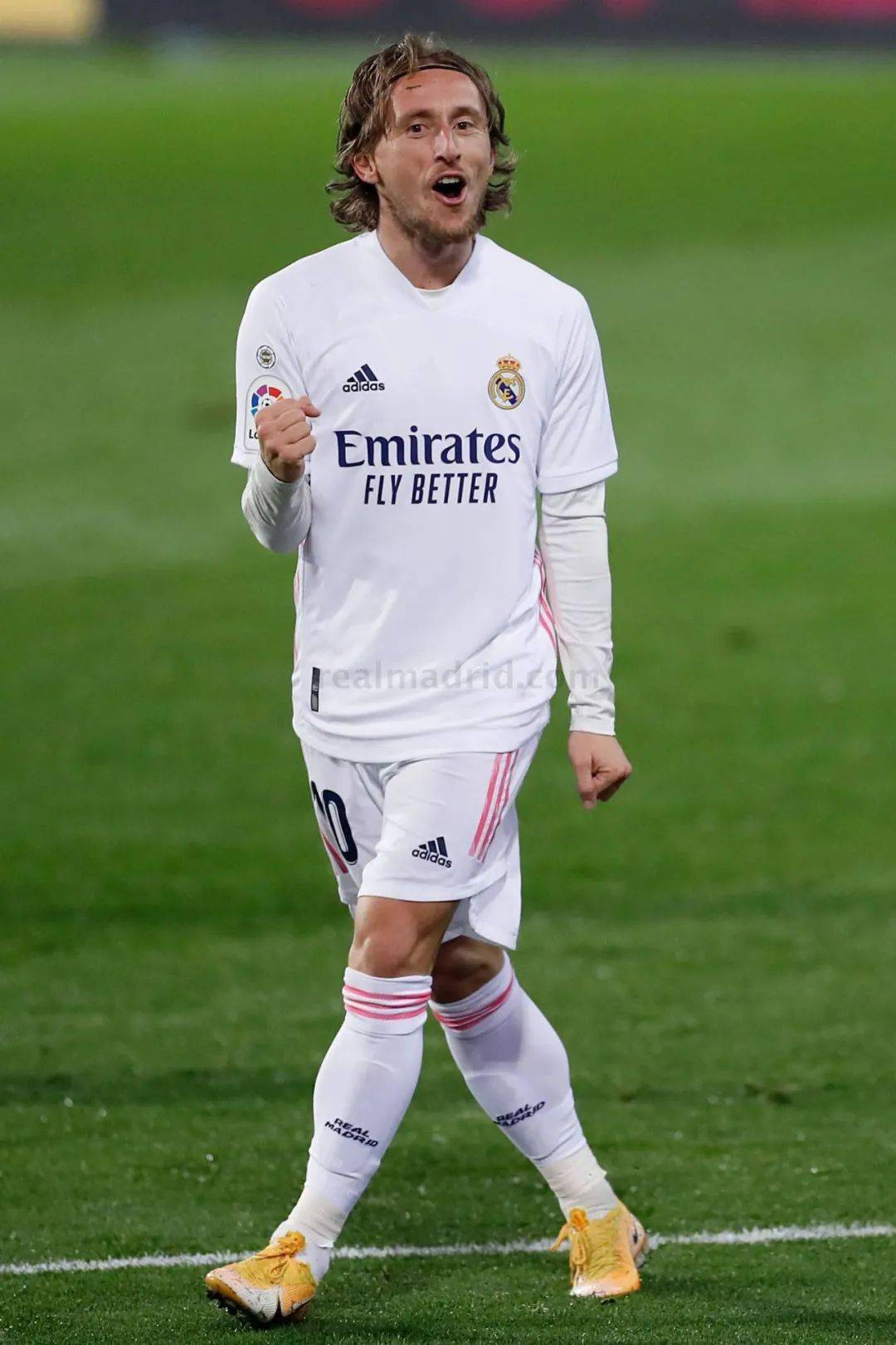 就直接帮助 就直接帮助